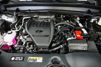 2024 Lexus TX 350 Premium