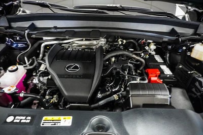 2025 Lexus TX 350 Premium