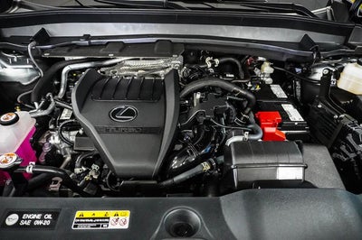 2025 Lexus TX 350 Premium