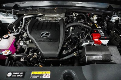 2024 Lexus TX 350 Luxury