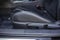 2024 Toyota GR86 Premium