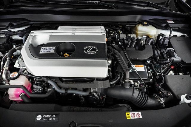 2021 Lexus UX 250h F SPORT