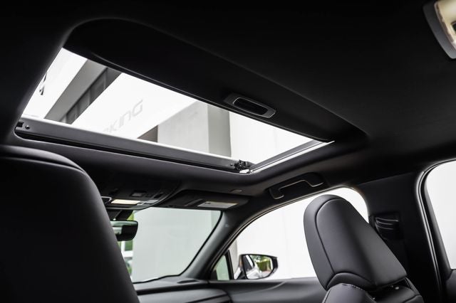 2023 Lexus UX 250h