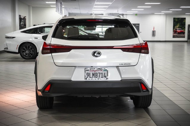 2024 Lexus UX 250h