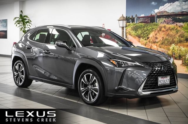 2024 Lexus UX 300h 250h's photo