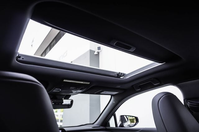 2024 Lexus UX 250h