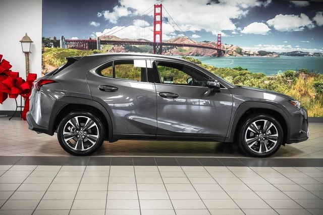 2024 Lexus UX 250h