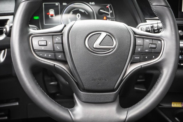 2024 Lexus UX 250h