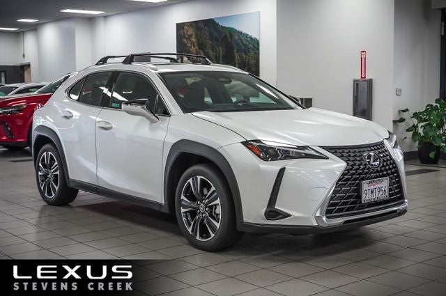 2025 Lexus UX 300h's photo