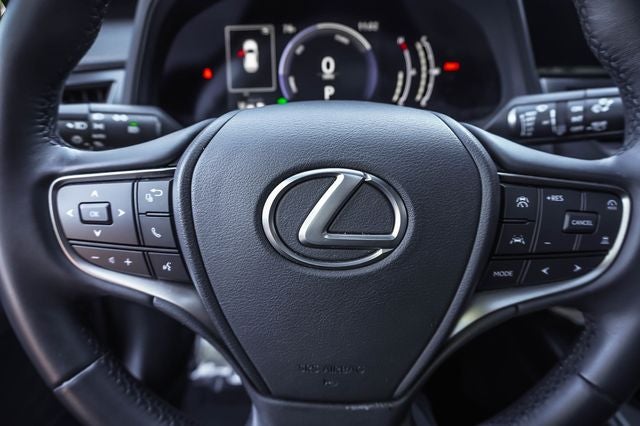 2025 Lexus UX 300h