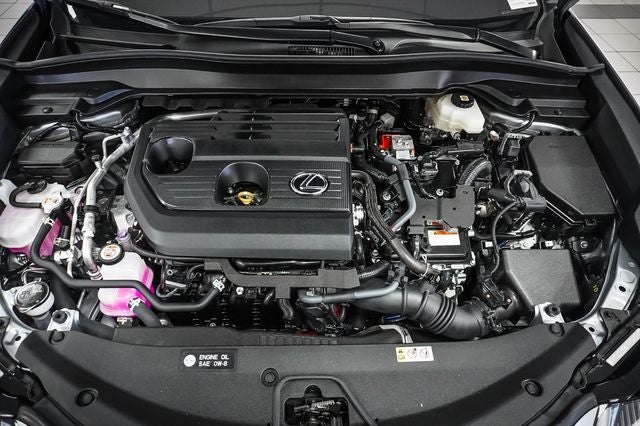 2025 Lexus UX 300h