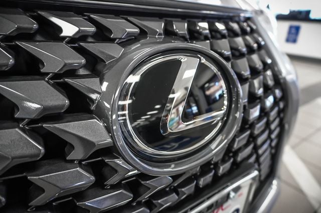 2025 Lexus UX 300h