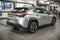 2025 Lexus UX 300h