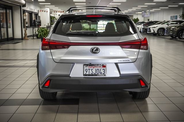 2025 Lexus UX 300h