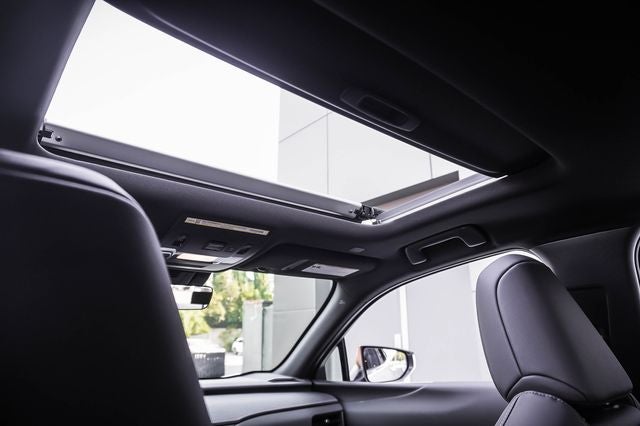 2025 Lexus UX 300h