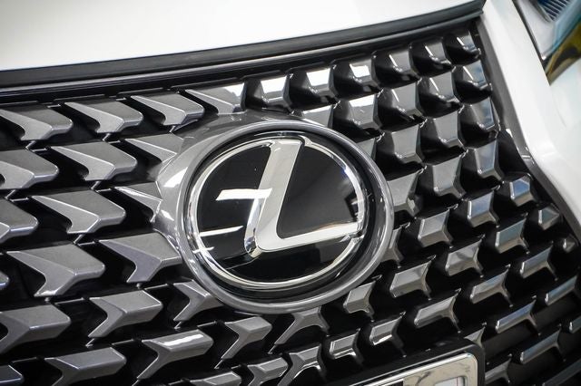 2025 Lexus UX 300h