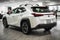 2025 Lexus UX 300h