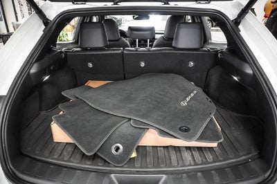 2025 Lexus UX 300h Premium