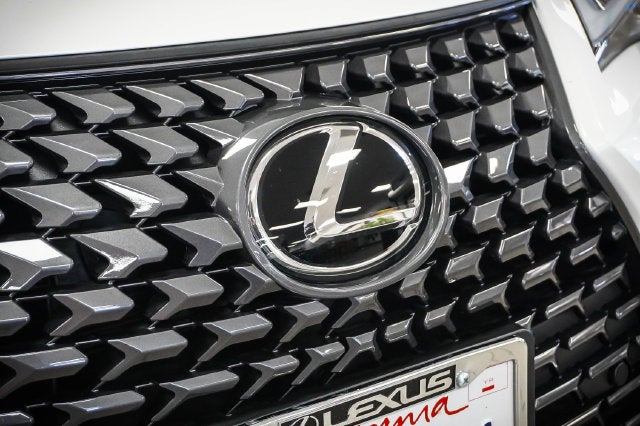 2025 Lexus UX 300h Premium