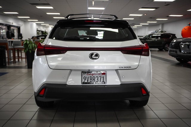 2025 Lexus UX 300h Premium