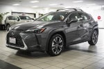 2025 Lexus UX 300h