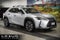 2025 Lexus UX 300h