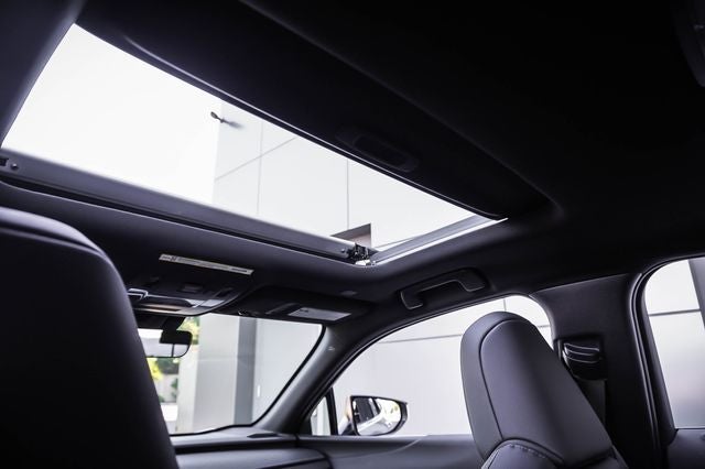 2025 Lexus UX 300h