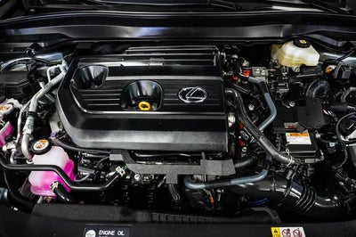 2025 Lexus UX 300h