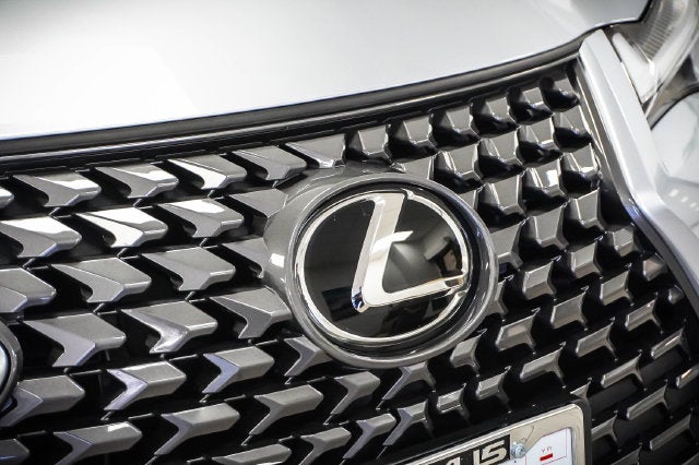 2025 Lexus UX 300h