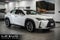 2025 Lexus UX 300h