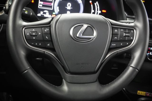 2025 Lexus UX 300h