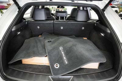 2025 Lexus UX 300h