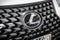 2025 Lexus UX 300h