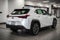 2025 Lexus UX 300h