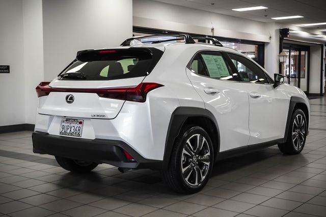 2025 Lexus UX 300h