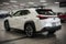 2025 Lexus UX 300h