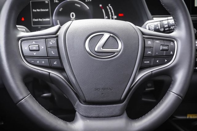 2025 Lexus UX 300h
