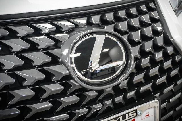 2025 Lexus UX 300h