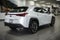 2025 Lexus UX 300h