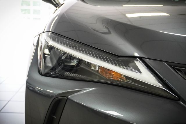 2026 Lexus UX 300h