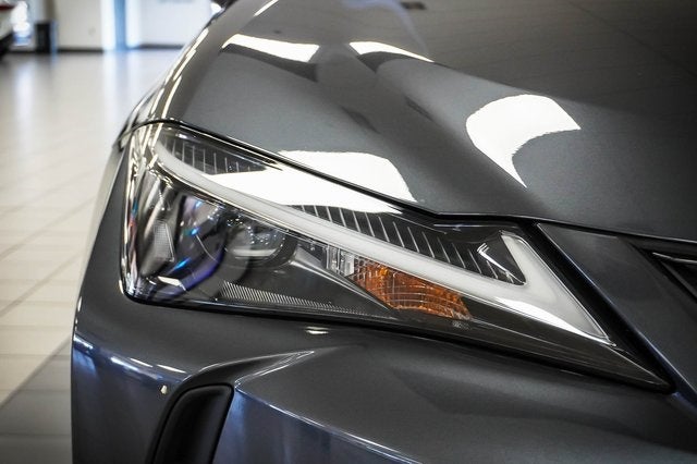 2025 Lexus UX 300h