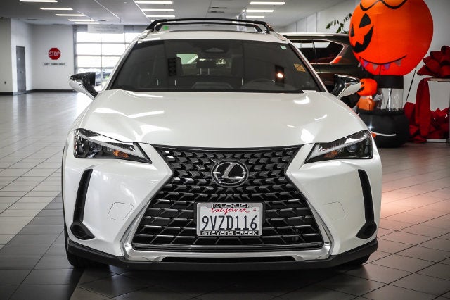 2025 Lexus UX 300h
