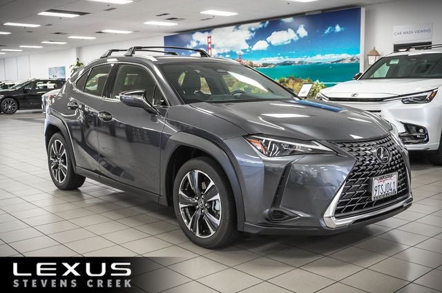 2025 Lexus UX 300h