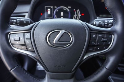 2025 Lexus UX 300h