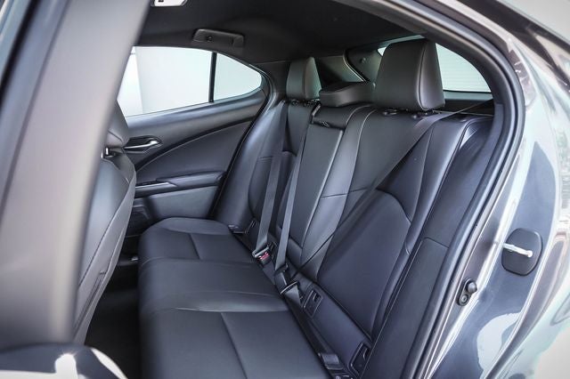 2025 Lexus UX 300h