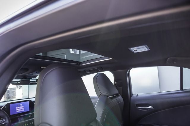 2025 Lexus UX 300h