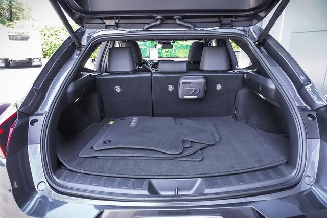 2025 Lexus UX 300h