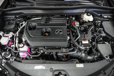 2025 Lexus UX 300h