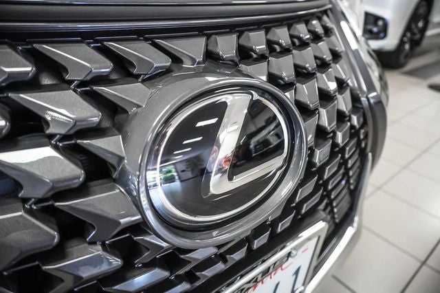 2025 Lexus UX 300h