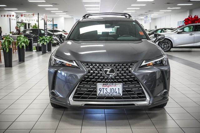 2025 Lexus UX 300h